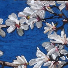 Magnolias-dans-le-bleu-2-30x40