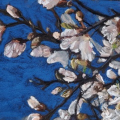 Magnolias-dans-le-bleu-4-30x40