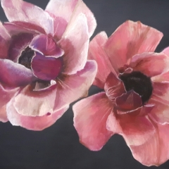 conciliabule-50x65