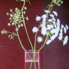 dill-70x100