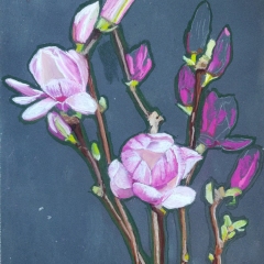 ebaubhe-de-magnolia-50-x-65-cm