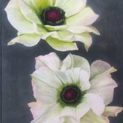 elles-revent-70x100