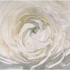 le-blanc-est-une-couleur-40x40