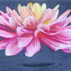 le-yogi-30-x40-cm