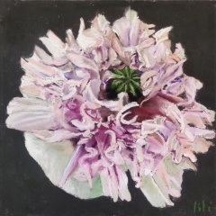lepavotfou-30x30