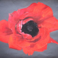 rouge-sur-noir-50x65