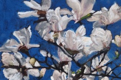 Magnolias-dans-le-bleu3-30x40