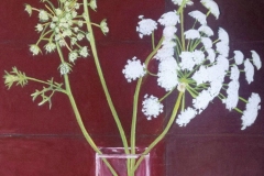 dill-70x100