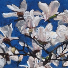 Magnolias-dans-le-bleu3-30x40
