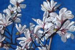 Magnolias-dans-le-bleu-1-30x40
