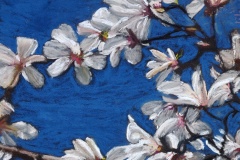 Magnolias-dans-le-bleu-2-30x40