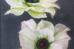 elles-revent-70x100