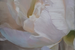 insoutenable-legerete-50x65