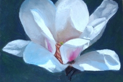 un-magnolia-blanc-mais-pas-que-30-x-40-cm